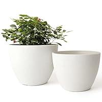 La Jolìe Muse Vasi per Piante Vaso da Interno Fioriera, Colore：Bianco ...